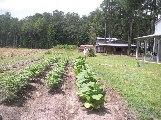 Tobacco Farm Life Museum of Virginia